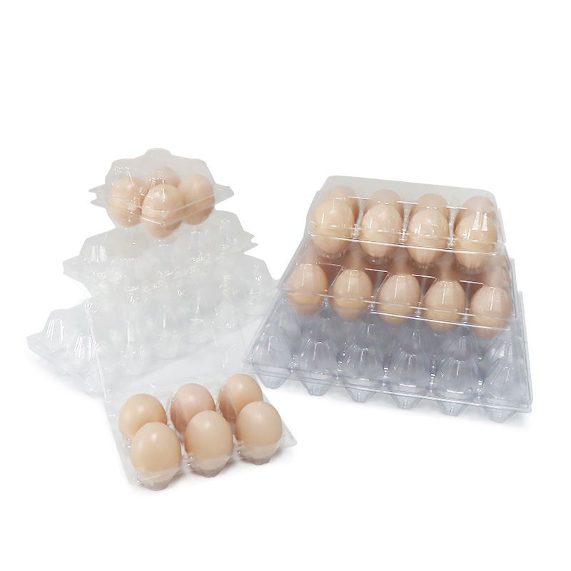 Plateau d\'oeuf d\'emballage biodégradable en plastique jetable personnalisé