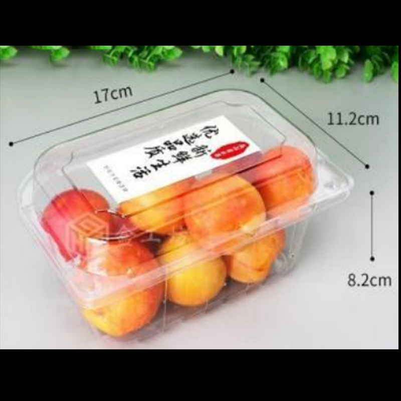 Boîte aux fruits avec couvercle 170 * 112 * 82 mm HGF-300L